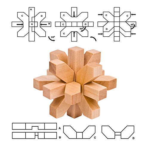 Gracelaza 9 Piezas Juguetes Rompecabezas de Madera Caja Set - IQ Juguete Educativo - 3D Brain Teaser Puzzle de Madera - Juego Niños y Adolescentes