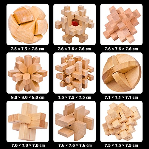 Gracelaza 9 Piezas Juguetes Rompecabezas de Madera Caja Set - IQ Juguete Educativo - 3D Brain Teaser Puzzle de Madera - Juego Niños y Adolescentes