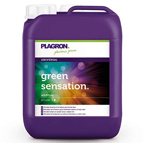 Green Sensation 5 litros) - Plagron