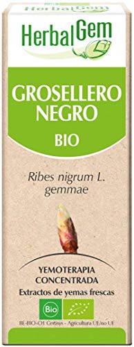 Herbalgem Grosellero Negro Bio - 150 gr