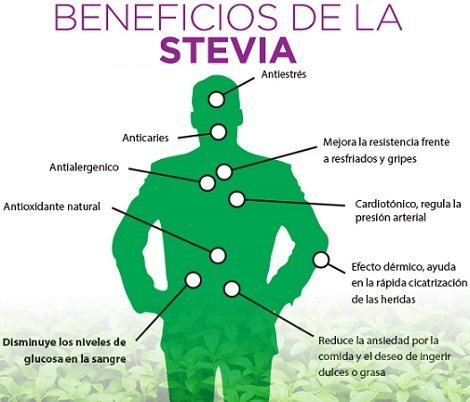 Hoja Entera de Stevia Premium 500Gr