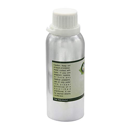 Kukui aceite nuez | Aleurites moluccanus | Para cuerpo | Para pelo | Para masaje | Sin refinar | 100% natural puro | Prensado en frío | Kukui Nut Oil | 630ml | 21oz By R V Essential