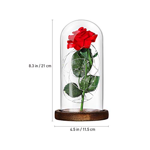 Lámpara de Mesa LED Rosa de Seda Roja y Luz con Pétalos Caídos en Cúpula de Cristal Sobre Base de Dia de la madre Madera Valentín