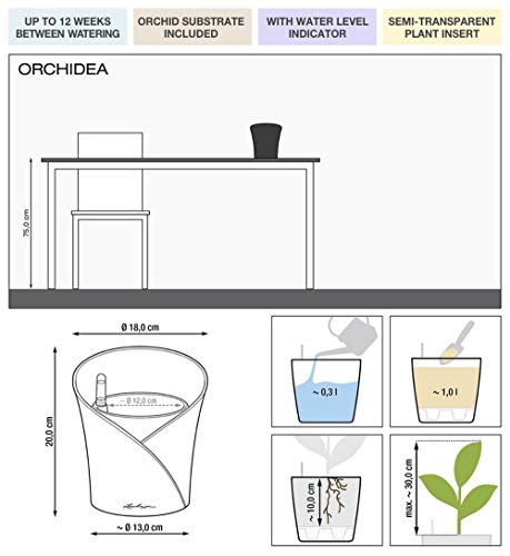 LECHUZA ORCHIDEA - Macetero de riego automático, pequeña Maceta para Interior sin Orificio de Drenaje con sustrato de Plantas, Resina de Poli D18 H19,5 cm, Pizarra Mate