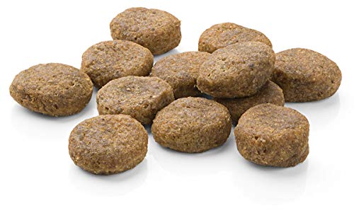 Mera Pure Sensitive Fresh Meat Adult Pavo y Patata pienso para Perros – Alimento seco para Perros con una fórmula sin Cereales y 25% de Carne Fresca