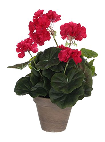 MICA Decorations 975166 Flores, Geranium Grandes, Color Rosa