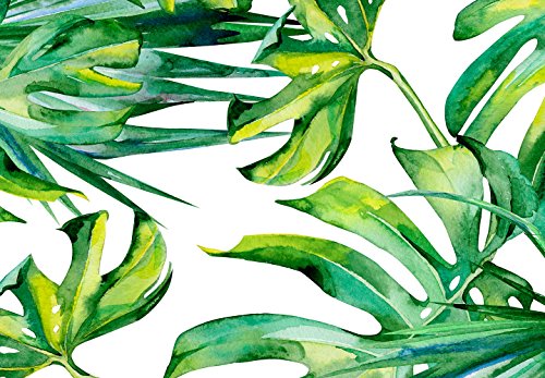 murando Fotomurales Hojas Tropicales Monstera 150x280 cm Papel pintado tejido no tejido Decoración de Pared decorativos Murales moderna de Dise?o Fotográfico Exotico Blanco Verde b-B-0295-am-a