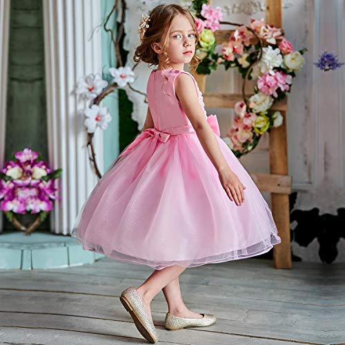 NNJXD Vestido de Fiesta de Princesa con Encaje de Flor de 3D sin Mangas para Niñas Talla(160) 7-8 Años Rosa