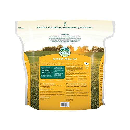 Orchard Grass Heno para Mascotas pequeñas Oxbow, 1,13 kg