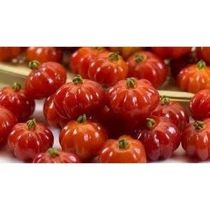 Pitanga rojo brasileño frutas – 1789 – Exotic brasileño fragancia – Vela y jabón aceite de fragancia – 16 oz (1 Lb) – Alto rendimiento suministro – promoción especial