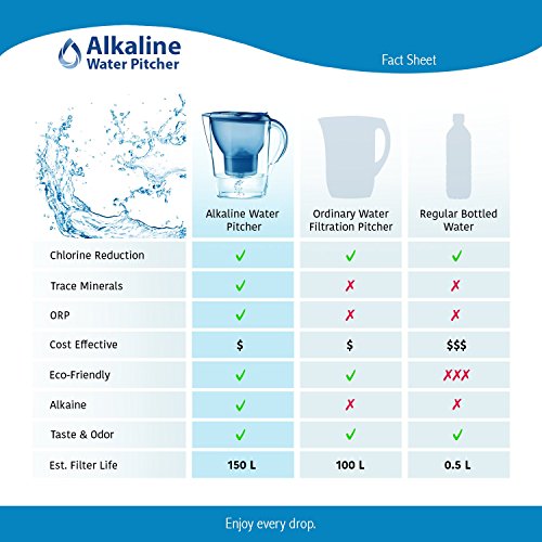 The Alkaline Water Pitcher - 2.5 Liters by Lake Industries