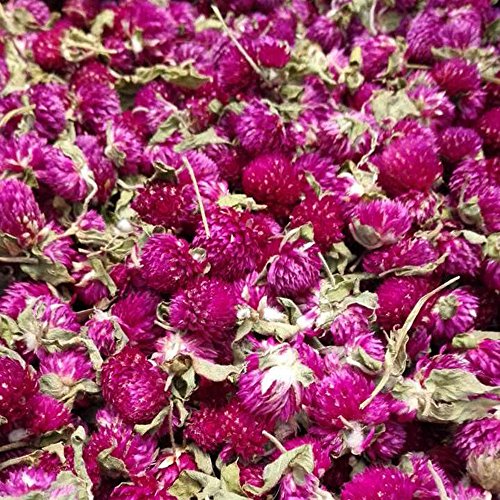 TooGet Los Pétalos y Capullos de Las Flores Incluyen Lavanda, Rosa, Gomphrena globosa, Jazmín, Flor de Té Verde a Granel, Tipo de Manualidades