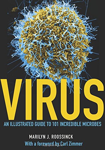 Virus: An Illustrated Guide to 100 Incredible Microbes: An Illustrated Guide to 101 Incredible Microbes