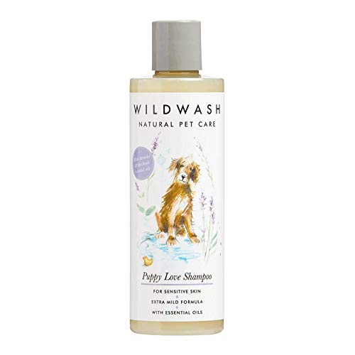 WildWash Champú para Mascotas Cachorro, Amor