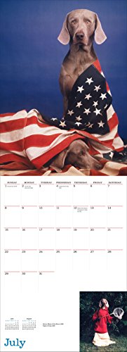 William Wegman Man's Best Friend 2018 Wall Calendar (Calendars 2018)