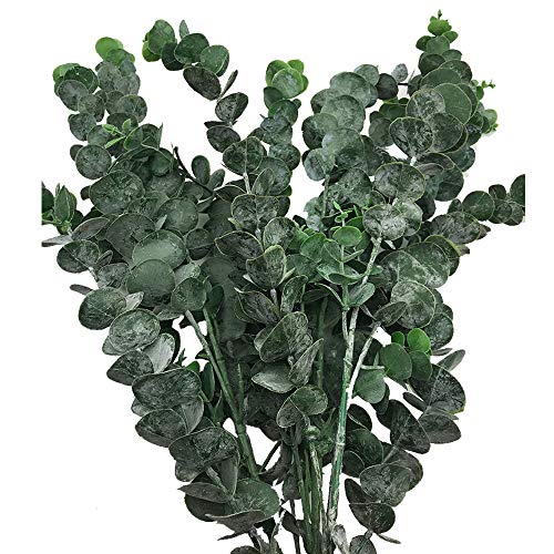 Aisamco Paquete de 3 Hojas de Eucalipto Spray con 5 Tallos Ramas de Plantas de Eucalipto Artificial Plantas de Vegetación Artificial en Verde Gris para la Decoración del Hogar de la Fiesta de Bodas