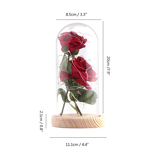 ALLOMN Rose Artificial Silk Sparkle Rose con Pantalla de Vidrio 20-LED Strip Light Blanco cálido Gran Regalo para el día de San Valentín Día de la Madre Cumpleaños de Navidad (Rojo)