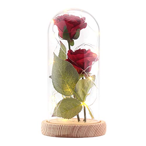 ALLOMN Rose Artificial Silk Sparkle Rose con Pantalla de Vidrio 20-LED Strip Light Blanco cálido Gran Regalo para el día de San Valentín Día de la Madre Cumpleaños de Navidad (Rojo)