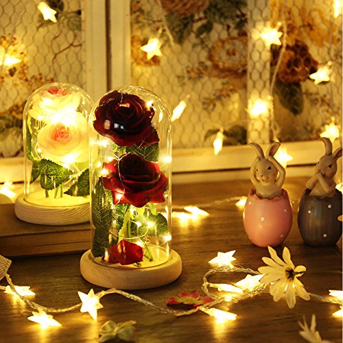 ALLOMN Rose Artificial Silk Sparkle Rose con Pantalla de Vidrio 20-LED Strip Light Blanco cálido Gran Regalo para el día de San Valentín Día de la Madre Cumpleaños de Navidad (Rojo)