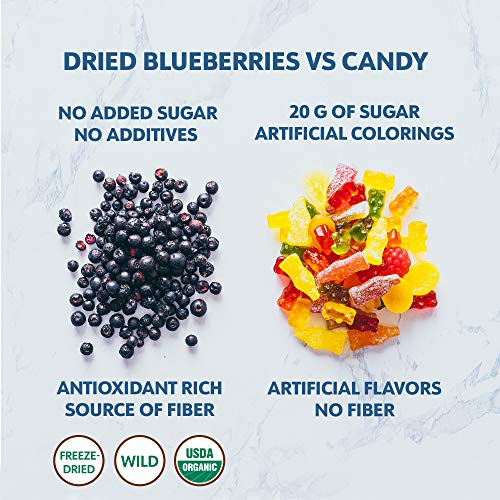 Arándanos silvestres orgánicos secos, sin azúcar añadido, 113 g, arándanos liofilizados cosechados en bosques nórdicos, arándanos silvestres 100% de fruta entera, sin aditivos, sin OMG