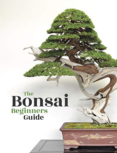 Bonsai: The Beginners Guide (English Edition)