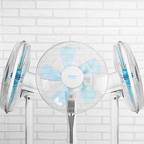 Cecotec Ventilador de Suelo EnergySilence 530 Power Connected White. 5 Aspas de 12" (30cm) de Di‡Metro, 3 Velocidades, Motor de Cobre, Rejilla Rotatoria, Mando a Distancia, Temporizador de 2h, 50W