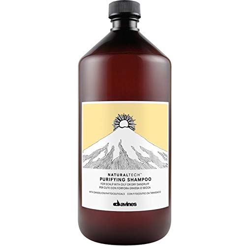 Davines Naturaltech Purifying Shampoo 1000ml