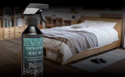 Dirtbusters Colchón neutralizador de olor y orina reactivador de olores, eliminador de olores, fragancia de higo y cassis, 500 ml