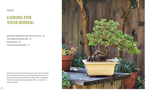 Dupuich, J: Little Book of Bonsai