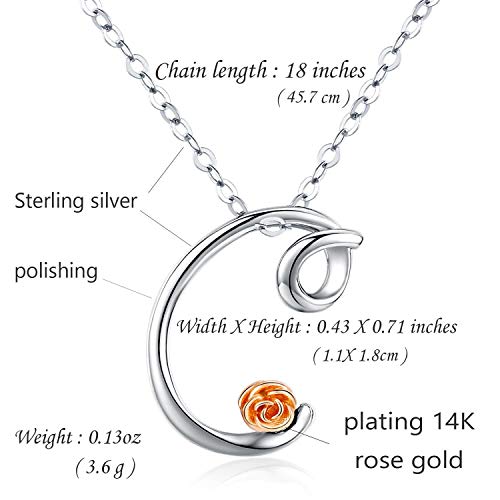 Friggem C Letra Cursiva Alfabeto Guión Collar Inicial para Mujeres Hombres, Plata esterlina Colgante de Encanto cursivo Inicial Personalizado, Collar con Nombre Regalos para Damas niñas (Cadena 18)