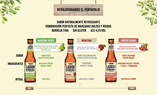 Ladrón de Manzanas Red Berries Cider - Pack de 6 Botellas x 250 ml (Total: 1.5 L)