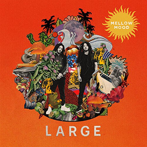 Large [Vinilo]