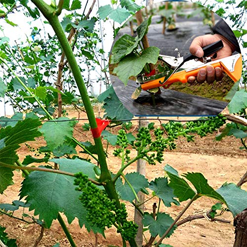 Maquina para Atar Tomates, Herramienta de Cinta de Jardín para Atar Ramas de Plantas, Atadora Agricola para Atadora de Tomates, para Viñedo Pepino UVA Fruta Flores Vegetales