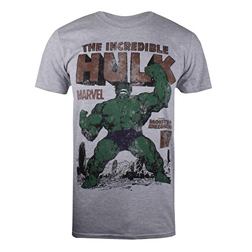 Marvel Hulk Rage Camiseta, Gris (Grey Marl SPO), Small (Talla del Fabricante: Small) para Hombre