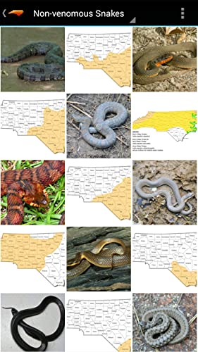 NC Reptile Guide (AD-FREE)