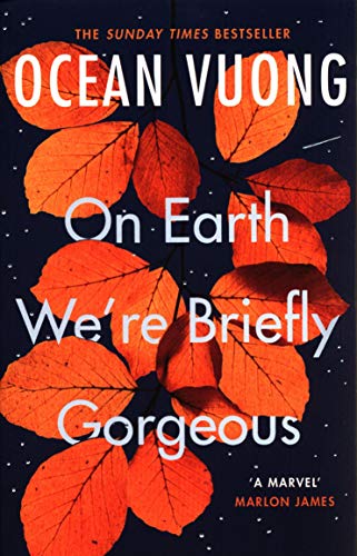 On Earth We're Briefly Gorgeous