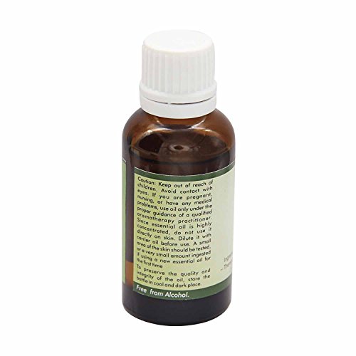 R V Essential Copaiba pura 15ml Aceite Esencial (0.507 oz)- Copaifera officinalis (100% puro y natural de Grado Terapéutico) Pure Copaiba Essential Oil