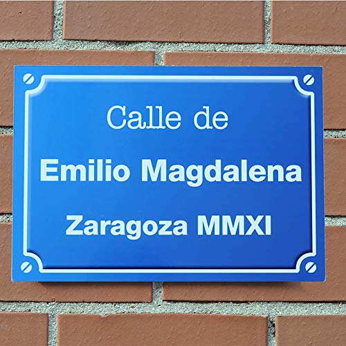 Regalo Divertido para cumpleaños, Navidad, Aniversario, Día del Padre, Día de la Madre, San Valentín, inauguración de una casa, Despedida del Trabajo. Placa de Calle Personalizada (Azul)