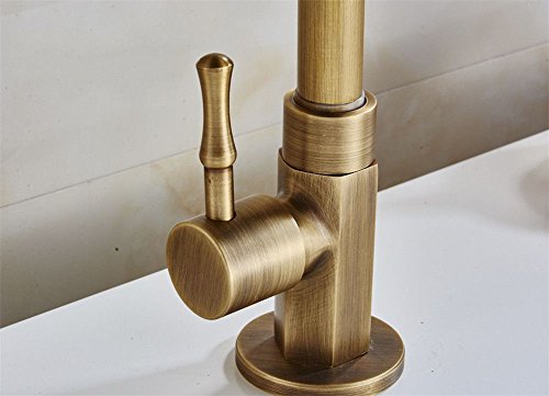 SADASD Grifo de Lavabo de Cobre de Alta Gama de Color Blanco Dorado Envejecido, para Fregadero de Cocina, con un Solo Agujero, válvula de cerámica para Agua fría,con Manguera G1/2