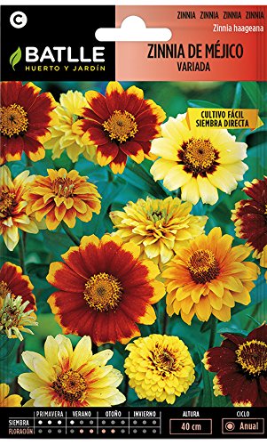 Semillas de Flores - Zinnia de Méjico variada - Batlle