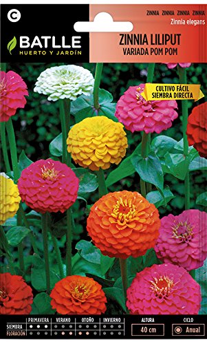 Semillas de Flores - Zinnia Liliput variada Pom Pom - Batlle