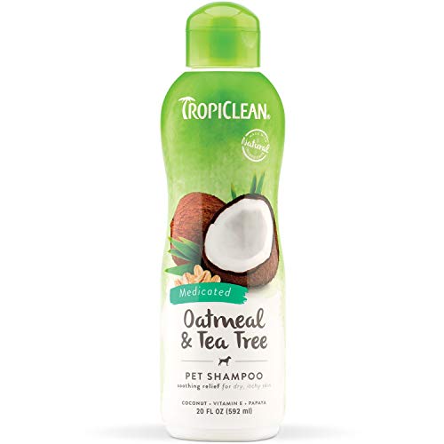 TropiClean Champú para Mascotas - Alivio Medicado de la Picazón - Exfolia, Humecta, Alivia la Piel y el Pelo Seco I Para Perros y Gatos I Sin Parabenos, Colorantes, Jabón - Avena y Árbol de Té, 592 ml