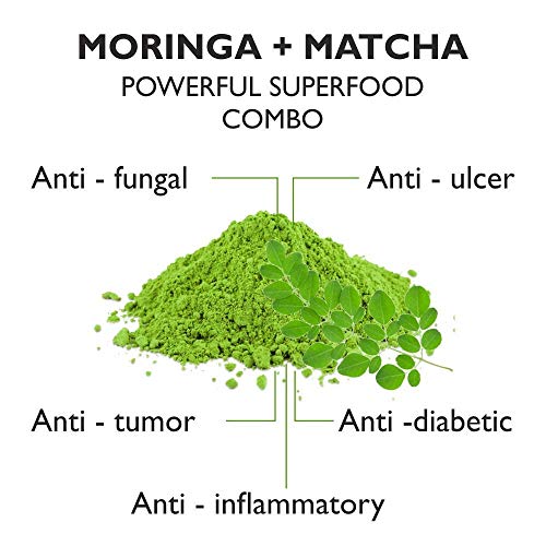 VAHDAM, té verde Matcha Moringa (50 porciones) | 100% PURE Matcha Tea Powder de origen japonés | 137x ANTIOXIDANTES | Té verde para bajar de peso y desintoxicación diaria | SUPER COMIDA de Japón, 100g