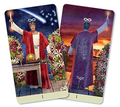 Vice Versa Tarot Kit