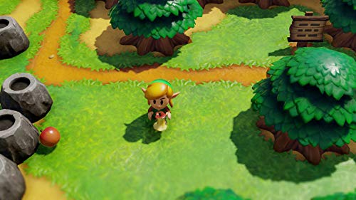 Zelda Link's Awakening Remake