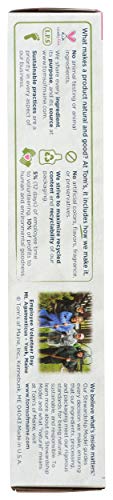 Tom's of Maine - Natural Toothpaste Simply White With Fluoride Clean Mint - 4.7 oz