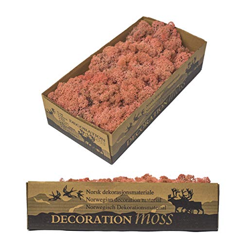 1 caja de musgo real – Musgo decorativo natural para manualidades en diferentes variedades frescas – DIY – musgo islando, musgo de bala, musgo colina Sphagnum (1 x musgo islandés rosa)