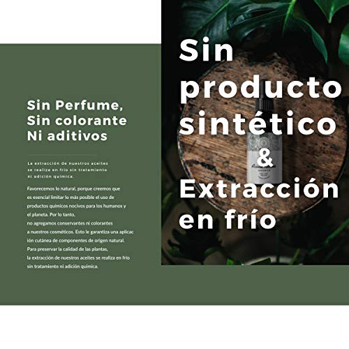 100ml Aceite de Ricino Orgánico, Prensado en Frío, Puro - Estimula y fortalece el crecimiento del cabello, barba, pestañas, cejas, uñas, cutículas y piel - Botella de vidrio, pincel y brocha