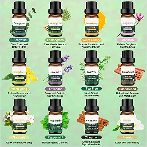 12 Pcs Aceites Essenciale Naturales,Set de Aceites Esenciales Florales Puros,Aceites de Aromaterapia para Humidificador Diffusor|Magnolia,Cinnamon,Gardenia,Lemongrass,Peppermint,Eucalyptus,Ylang-ylang