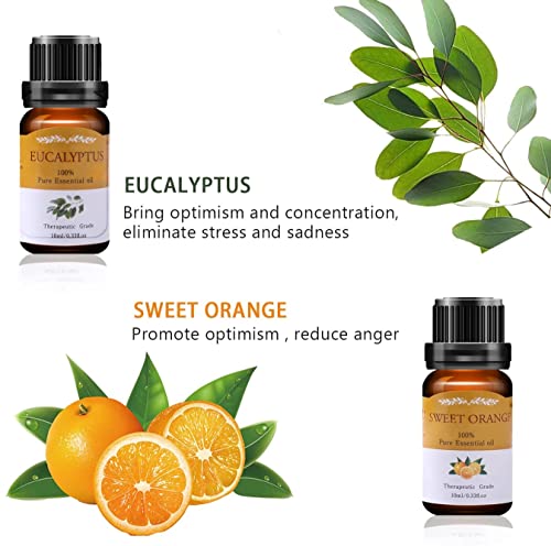 Aceites Esenciales para Humidificador, TOP 6 x10ml Aceites Esenciales Aromaterapia Naturales Puros para Difusor (Lavanda, Naranja Dulce, Menta, Arból de Té, Limoncillo, Eucalipto)